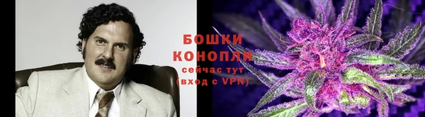 гидропоника Тавда