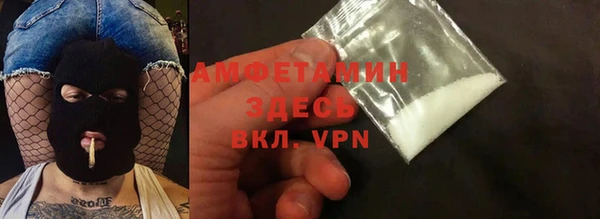 прущие грибы Пестово