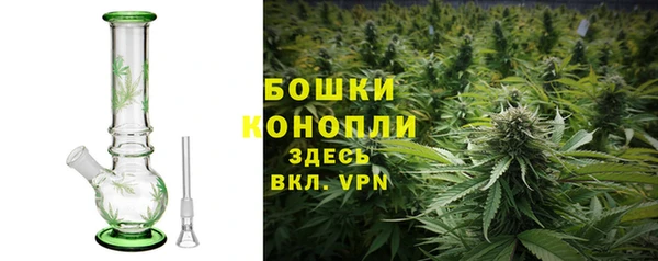прущие грибы Пестово