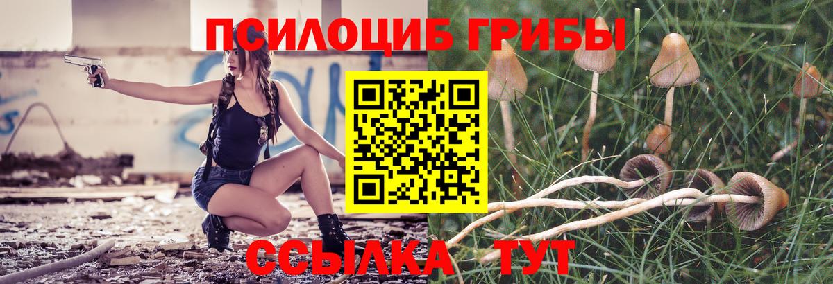 Заволжье  наркошоп  Вход с VPN  Галлюциногенные грибы ЛСД 