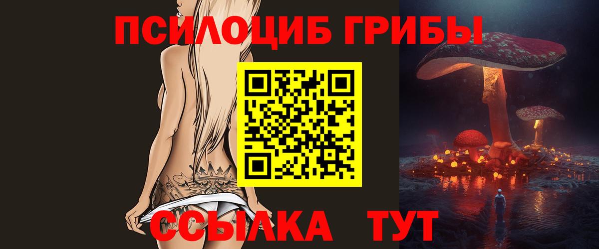 Псилоцибиновые грибы Cubensis Заволжье
